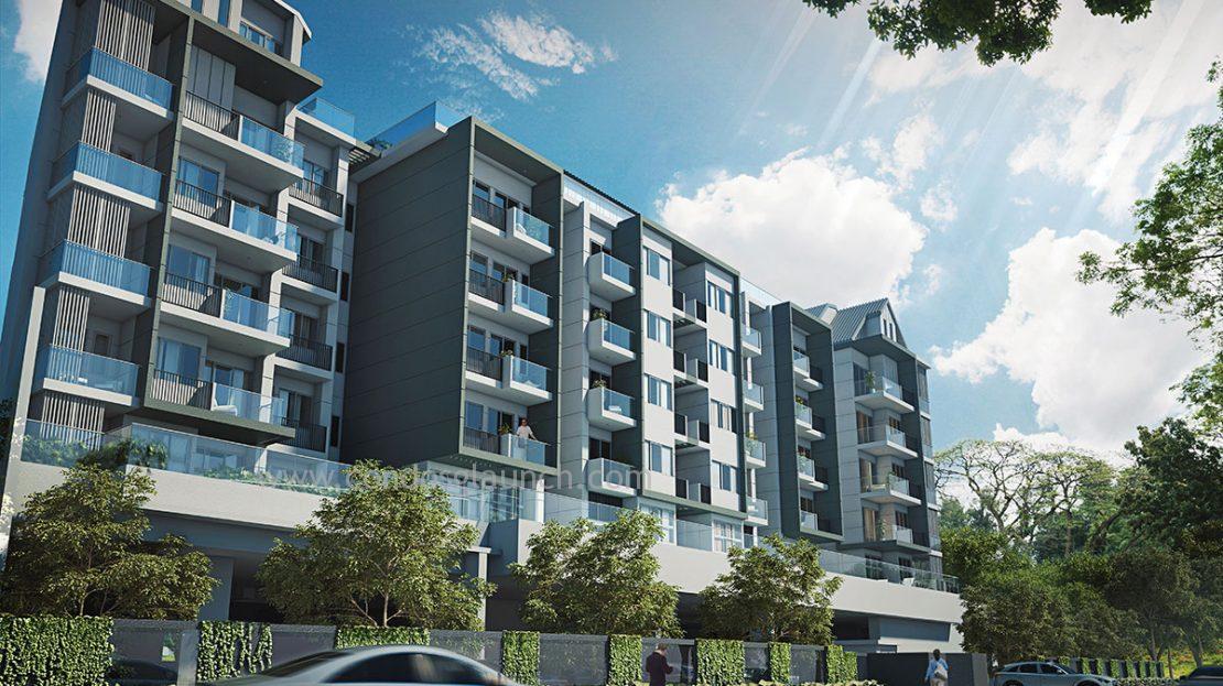 macly group