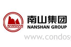 Nanshan group