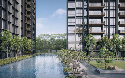 Image for illustration only